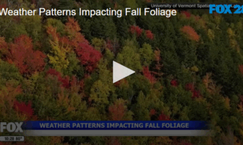 Weather Patterns Impacting Fall Foliage