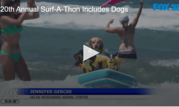 20th Annual Surf-A-Thon Includes Dogs