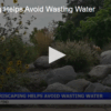 Xeriscaping Helps Avoid Wasting Water Sept 19 2025