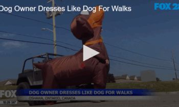 Dog Owner Dresses Like Dog For Walks