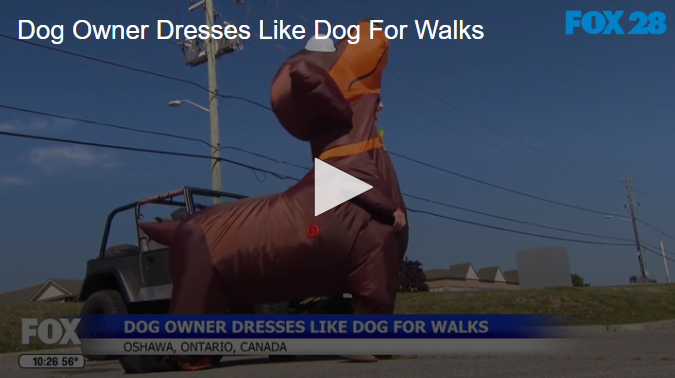 Dog Owner Dresses Like Dog For Walks Sept 23 2025