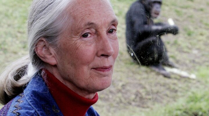 68dd74e9735e2imagejpg | FOX 28 Spokane