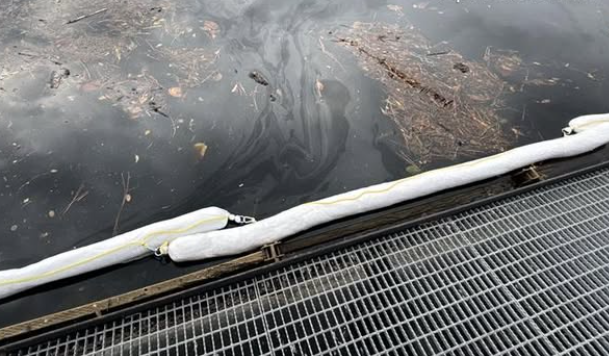 68ef288dbaf41imagepng | FOX 28 Spokane