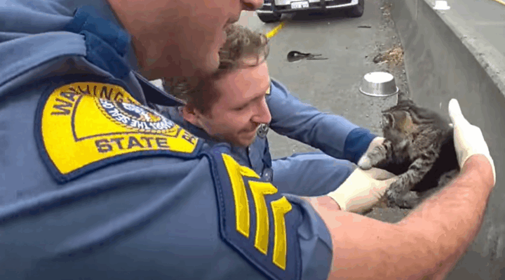 68f9b4559f57fimagepng | FOX 28 Spokane