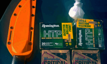 Rockford woman finds stranger in her car, deputies arrest him and find fentanyl