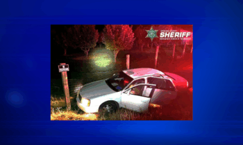 Spokane passenger jailed after causing car crash