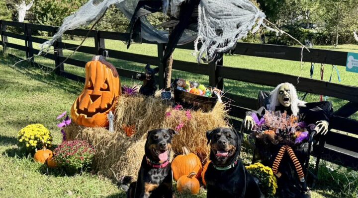 ChristineHaleVertucci | FOX 28 Spokane