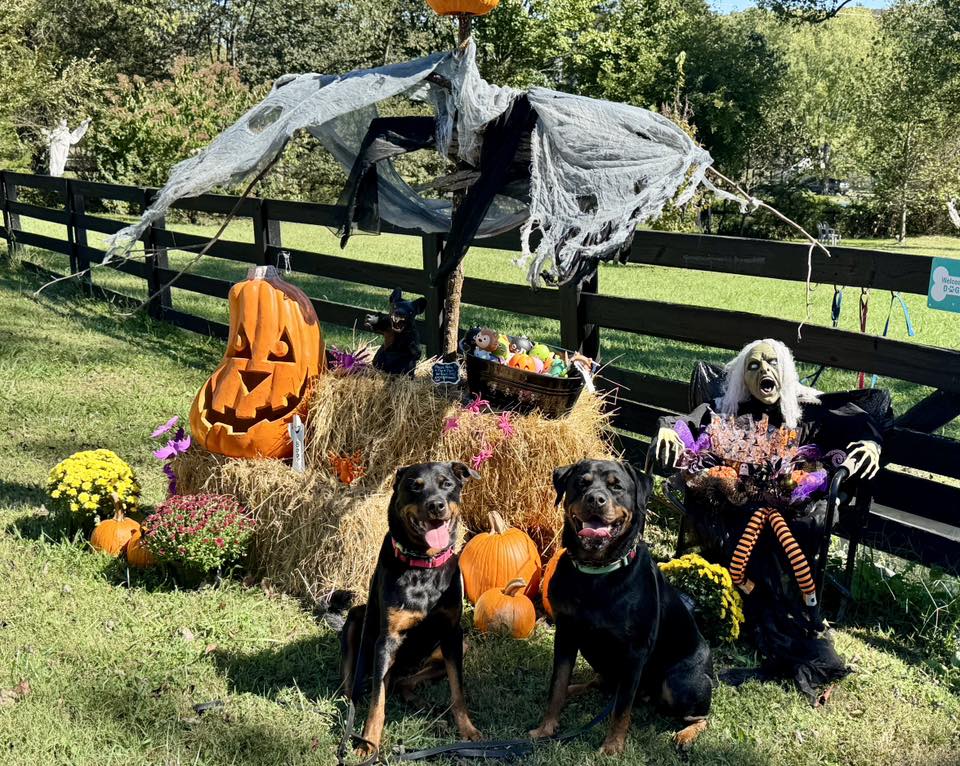 ChristineHaleVertucci | FOX 28 Spokane