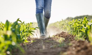 Where Natural Disasters Are Having the Biggest Impact on the Nation’s Food Supply