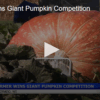 Farmer Wins Giant Pumpkin Competition Oct 15 2025