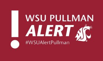 WSU study reveals higher risk of sexual violence for women on campus