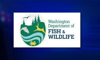 Washington lakes stocked with jumbo trout for Black Friday fishing