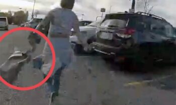 Stolen plate alert leads to felons’ arrest in Spokane Valley, guns found