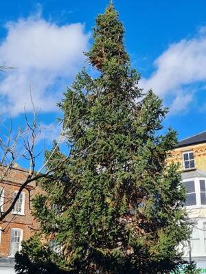 690cd0f615478imagejpg | FOX 28 Spokane