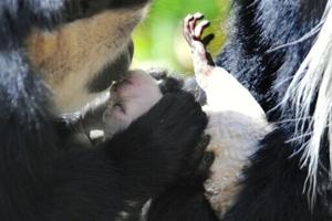 691ded5f8361eimagejpg | FOX 28 Spokane