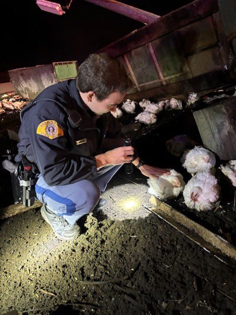 BUMP OF CHICKEN✳You were here✳2015Winter YouTube