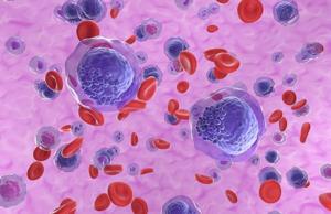 69247a23ba35fimagejpg | FOX 28 Spokane