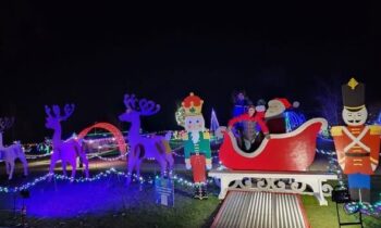 Kendall Yards to host winter light festival while others cancel displays