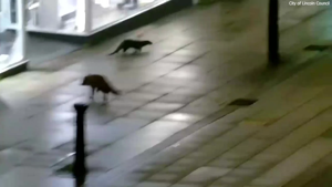 6925eb5788d17imagepng | FOX 28 Spokane