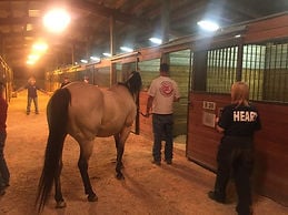 692a9d7e4b1e0imagejpg | FOX 28 Spokane