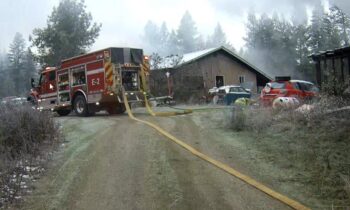 Puppies rescued from RV fire in Stevens County