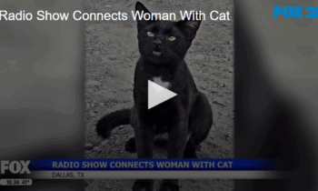 Radio Show Connects Woman With Cat Nov 19 2025