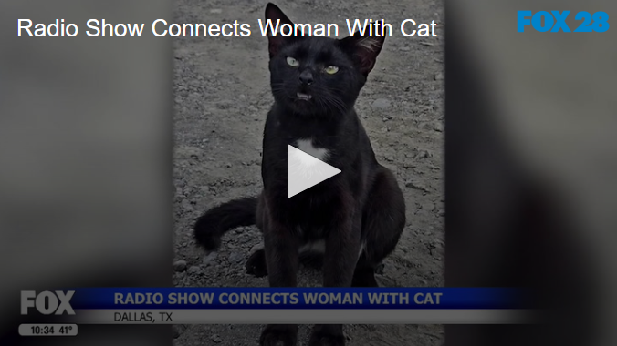 Radio Show Connects Woman With Cat Nov 19 2025