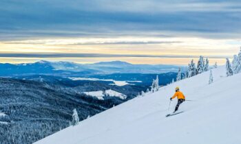 65b963eb8dd87imagejpg | FOX 28 Spokane