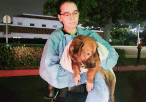 34 animals rescued from flooded home