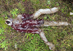 6938592ab1801imagepng | FOX 28 Spokane