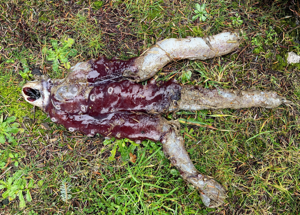 6938592ab1801imagepng | FOX 28 Spokane