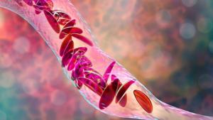 69396b8c7c4b9imagejpg | FOX 28 Spokane