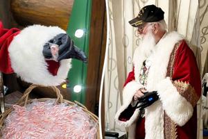 693b03728b9d7imagejpg | FOX 28 Spokane