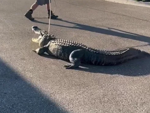 693c31f8b1648imagepng | FOX 28 Spokane