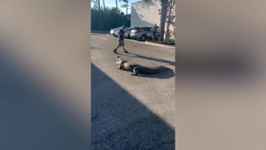 693c3c4660ccfimagepng | FOX 28 Spokane