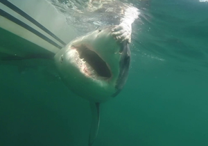 693c62cfac15fimagepng | FOX 28 Spokane