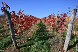 693e1e14462e3imagejpg | FOX 28 Spokane