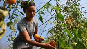 6941b3479b32eimagejpg | FOX 28 Spokane