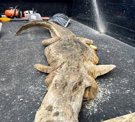 69436f03d5cebimagejpg | FOX 28 Spokane