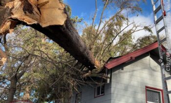 6943a7294cb74imagejpg | FOX 28 Spokane