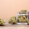 Trump Signs Order to Expand Medical Cannabis Research