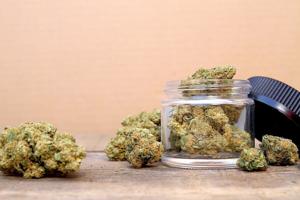 Trump Signs Order to Expand Medical Cannabis Research