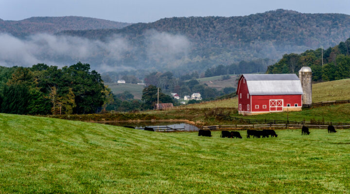 Farm-2025668618jpg | FOX 28 Spokane