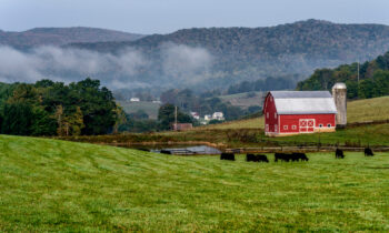 The Heart of American Farming: States With the Most Family-Owned Farms