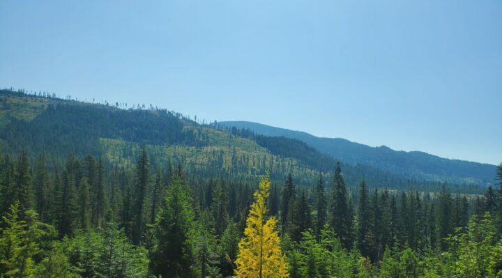 6699c54a35857imagejpg | FOX 28 Spokane