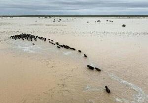 Australian PM to tour outback flood disaster zone