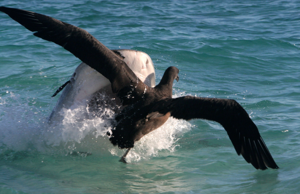 695ea6dd5405eimagepng | FOX 28 Spokane