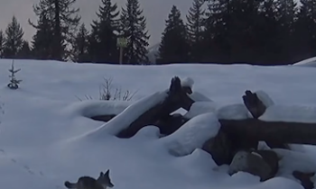 695f59121f254imagepng | FOX 28 Spokane