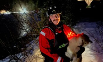 Woman and dog saved from icy waters near Snoqualmie Pass