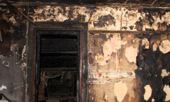 69793c5ba1779imagejpg | FOX 28 Spokane